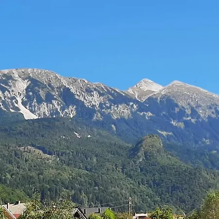 Apartma Dana-brinjtesa