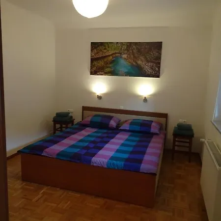 Apartma Dana-brinjtesa Apartment *