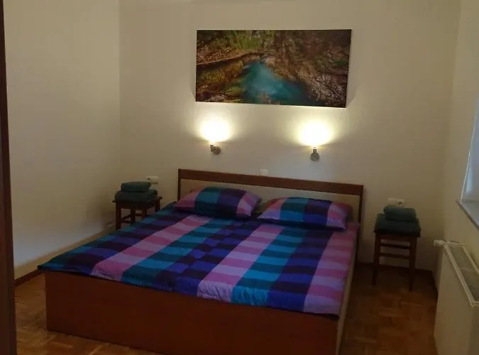 Apartma Dana-brinjtesa アパート *